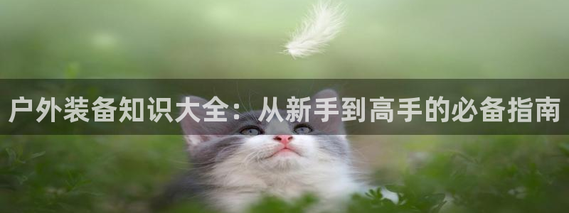 新宝gg代理注册