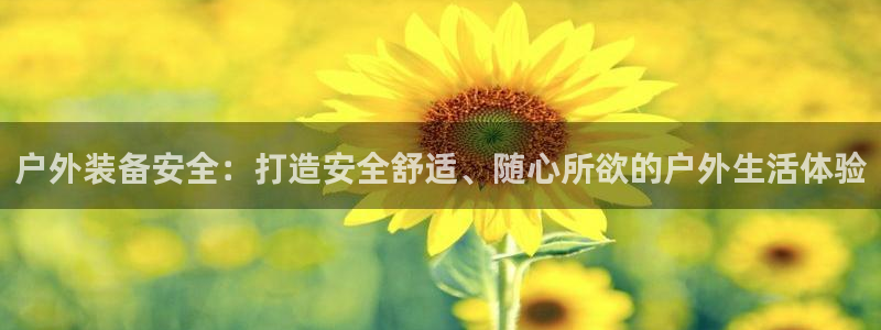 新宝gg创造奇迹