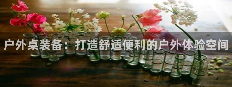 新宝gg创造奇迹登陆