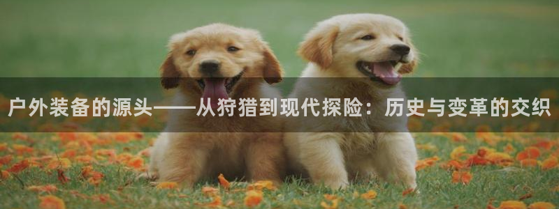 新宝gg真的能赚钱么