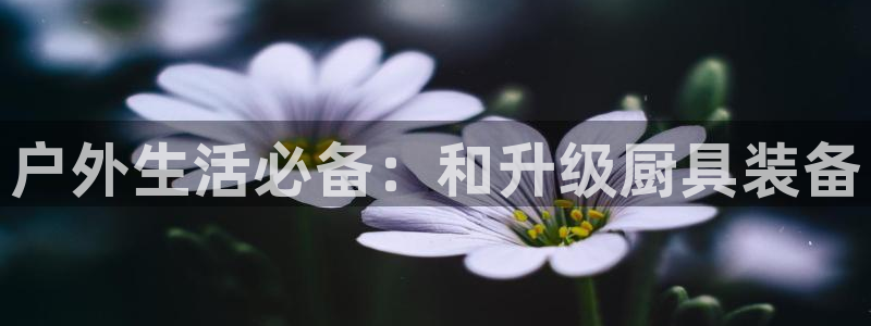 新宝测速gg