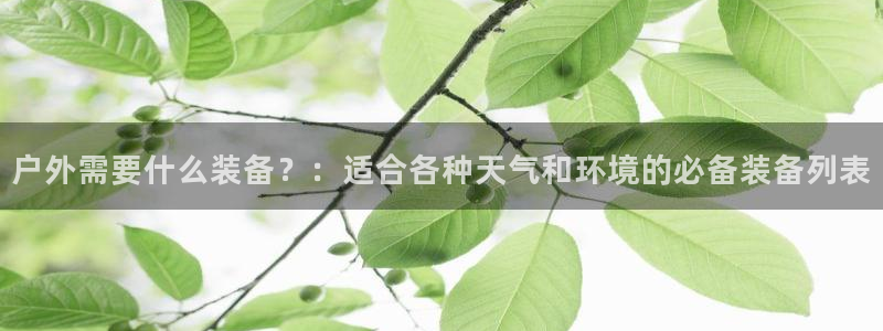 新宝gg重庆