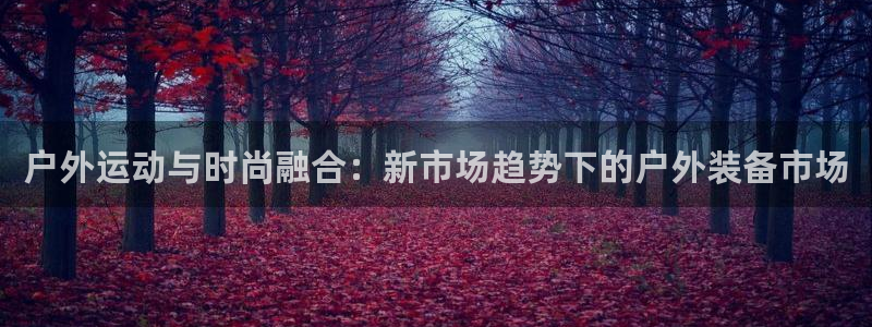 新宝给gg