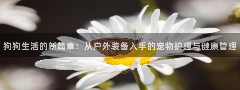 广东新宝电器gg