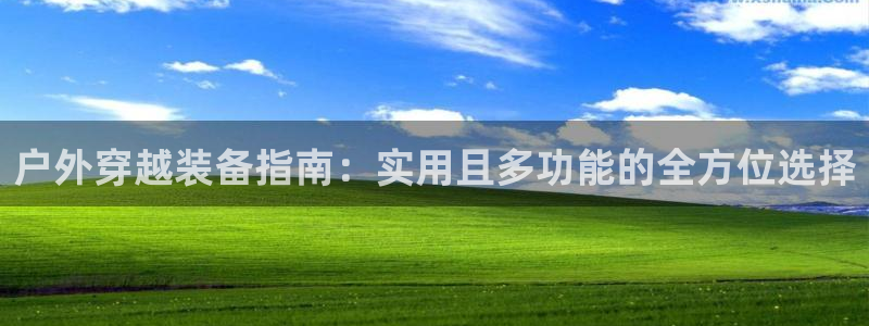 收新宝gg