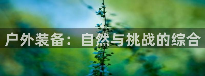 新宝gg 奇迹