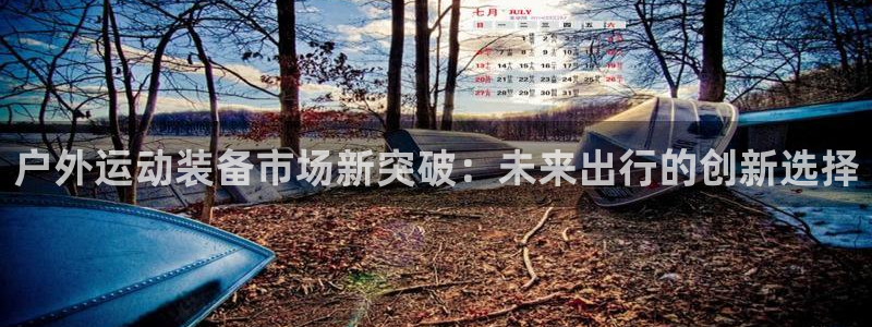 新宝gg计划