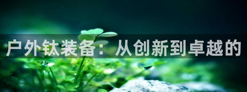 新宝GG管理