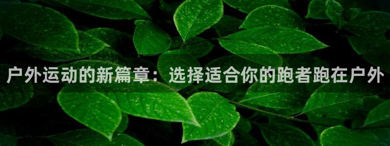 新宝新宝gg开户流程