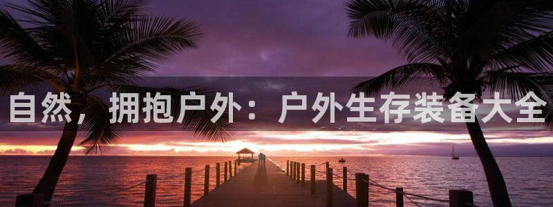 新宝gg登陆