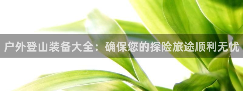 新宝gg
