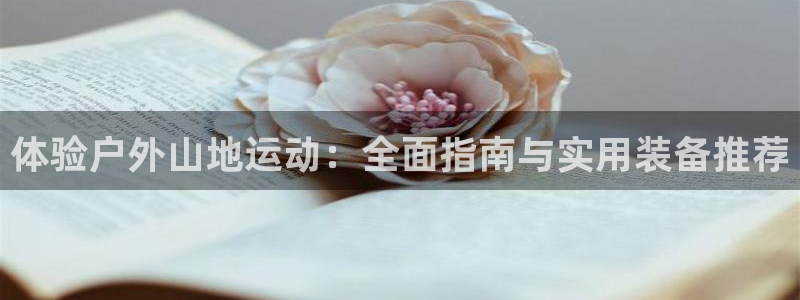 新宝gg测试