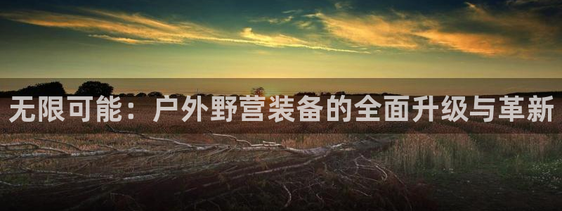 新宝GG上级