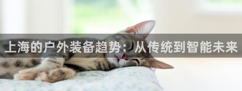 新宝gg注册 776317