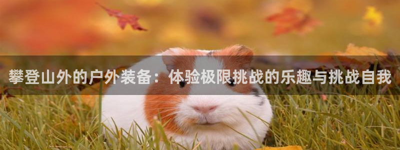 新宝gg如何做到总代理