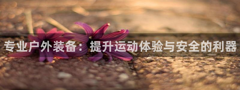 新宝gg平台首页