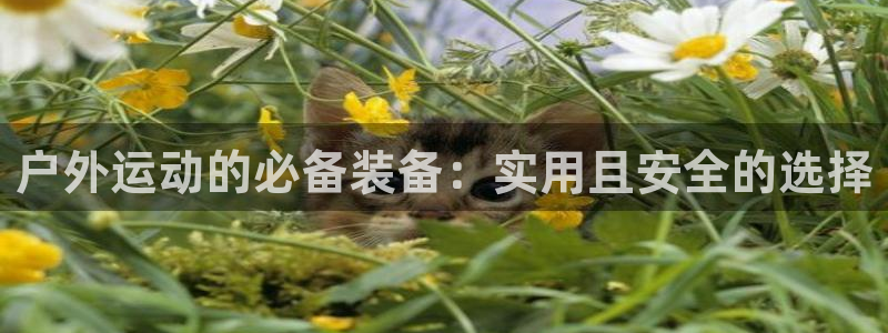 新宝gg账户注册