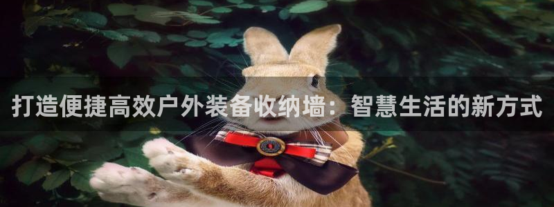 新宝gg下载官网下载