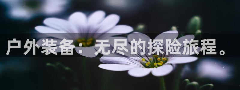 新宝gg招商89188