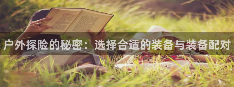 新宝gg挂机软件下载