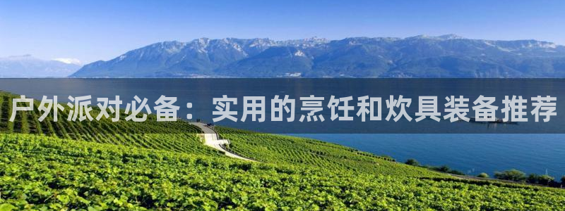 新宝gg平台反水