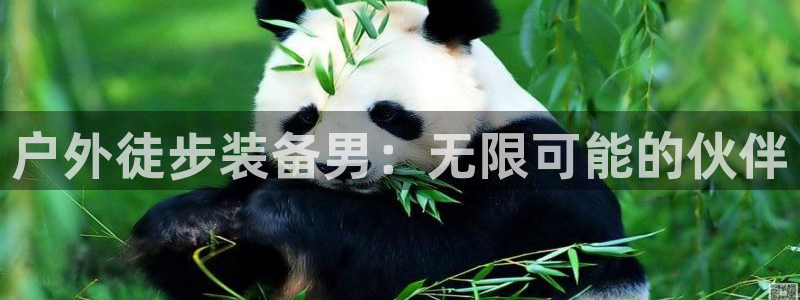 新宝gg登陆平台