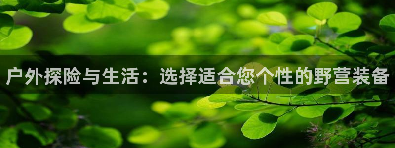新宝gg金砖彩票