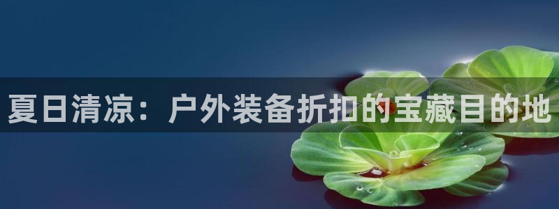 新宝gg登陆