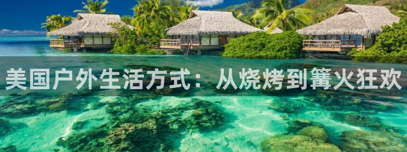 新宝gg线长