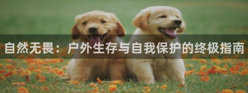 新宝gg 登陆