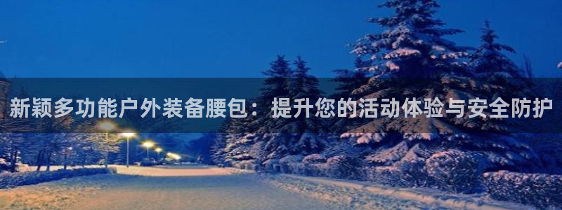 新宝gg登录链接