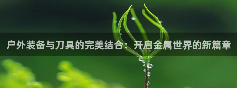 新宝gg创造奇迹 新宝gg
