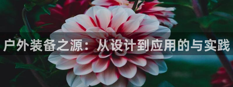 新宝gg平台q891465