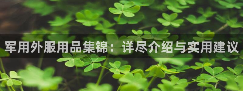 x新宝gg