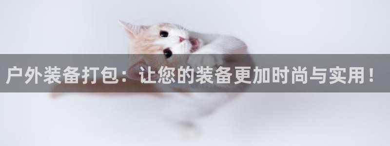 新宝gg网站
