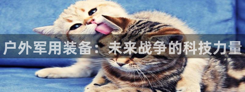 新宝gg主管都是谁