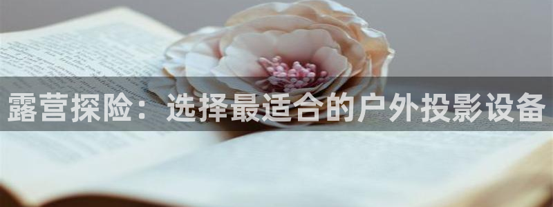 新宝gg是什么