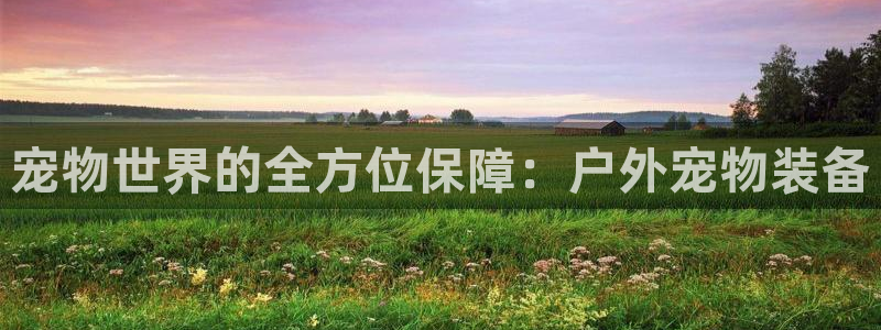 新宝gg论坛