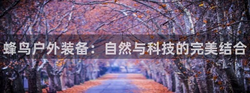 新宝gg账户注册