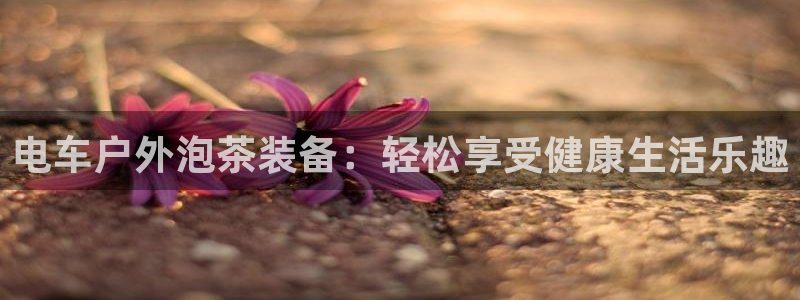 登录新宝gg游戏