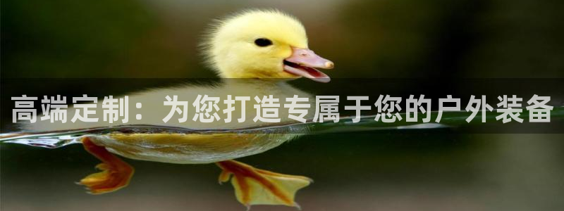 新宝gg代理登录