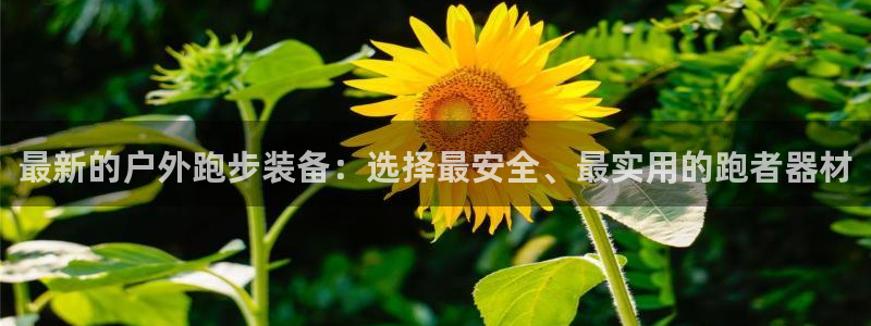 新宝gg金砖彩票