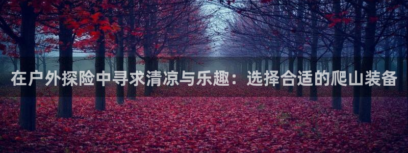 新宝gg入口网址