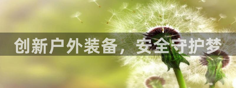 新宝gg游戏平台