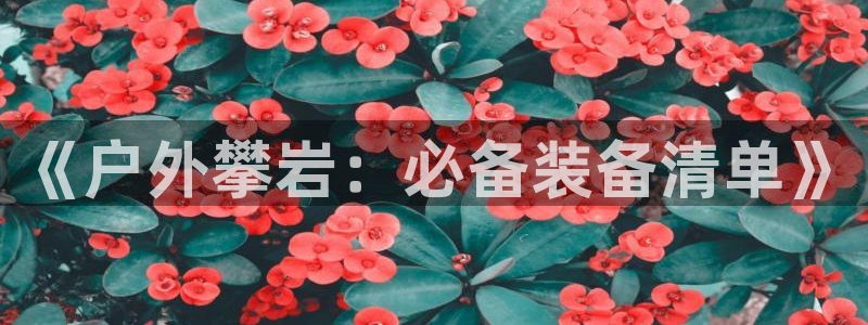 新宝gg账号