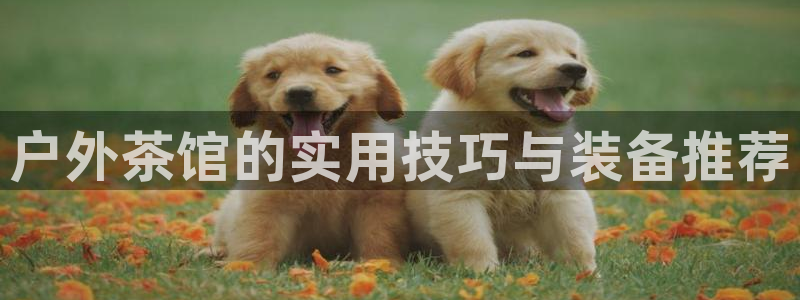 新宝_gg
