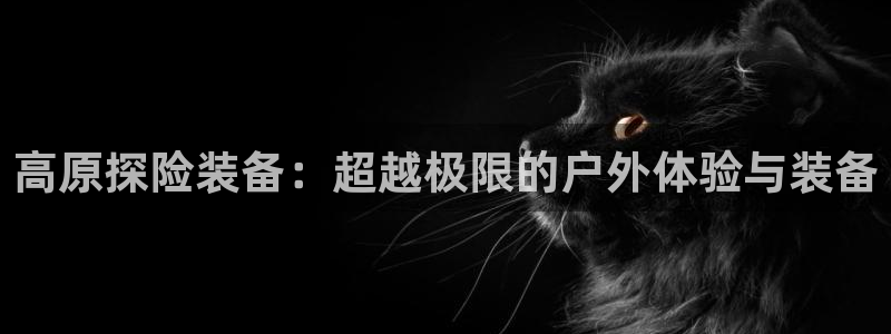 新宝gg平台登录 新宝GG