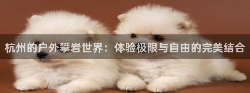 新宝gg软件下载