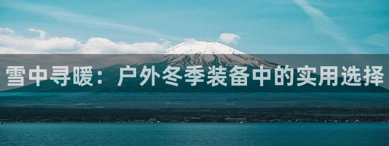 新宝gg软件下载