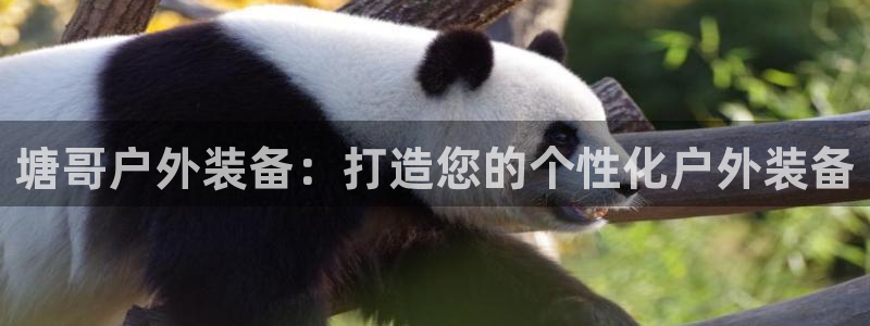 新宝gg有规律么